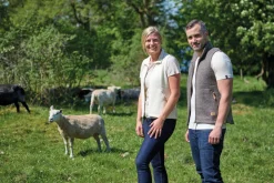 NLS BARLEY VEST, 100% OFÄRGAD ULL — BIRCH