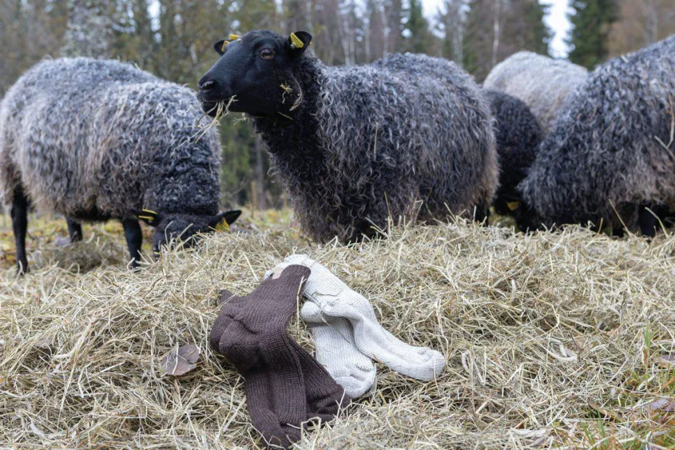 NLS RAG SOCK, 100% OFÄRGAD ULL — COFFEE BEAN